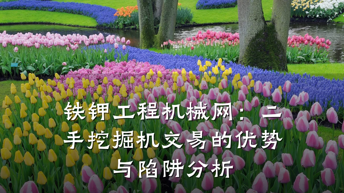 铁钾工程机械网:二手挖掘机交易的优势与陷阱分析