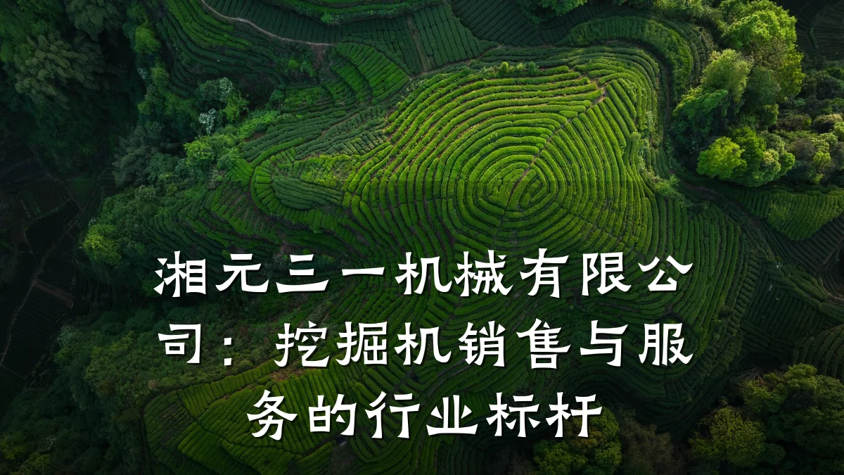 湘元三一机械有限公司:挖掘机销售与服务的行业标杆