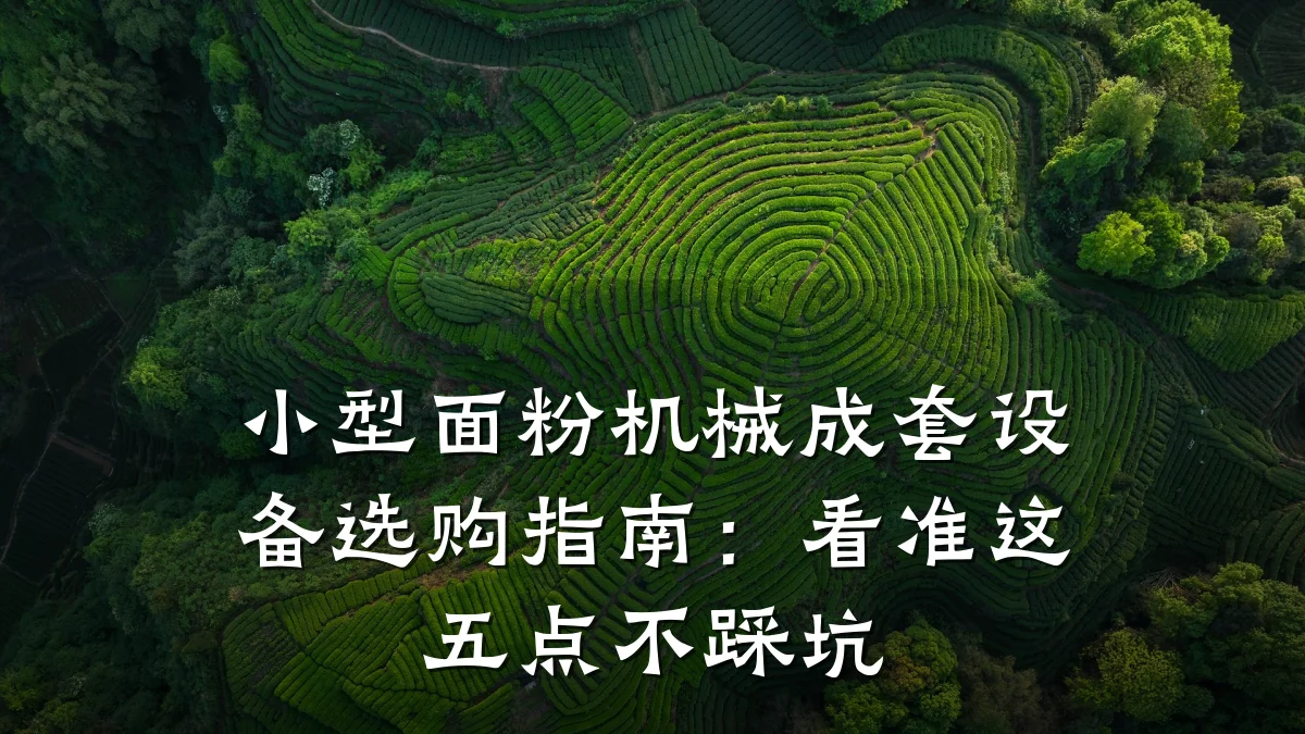 小型面粉机械成套设备选购指南:看准这五点不踩坑