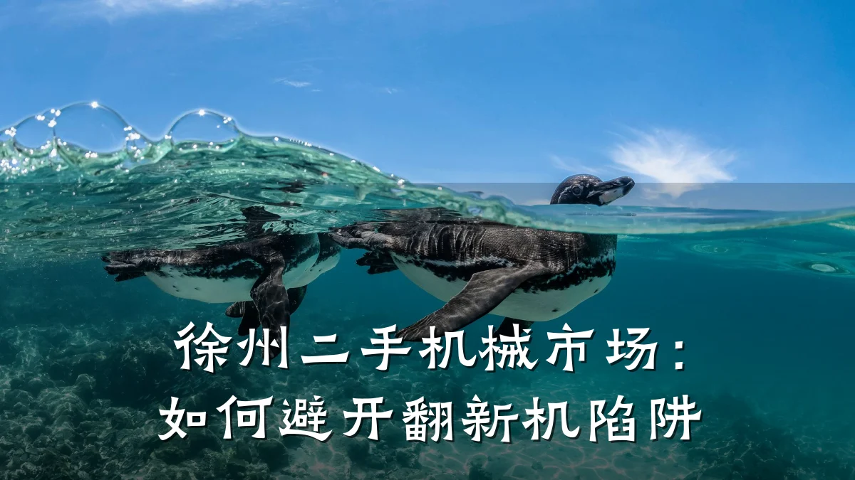 徐州二手机械市场:如何避开翻新机陷阱
