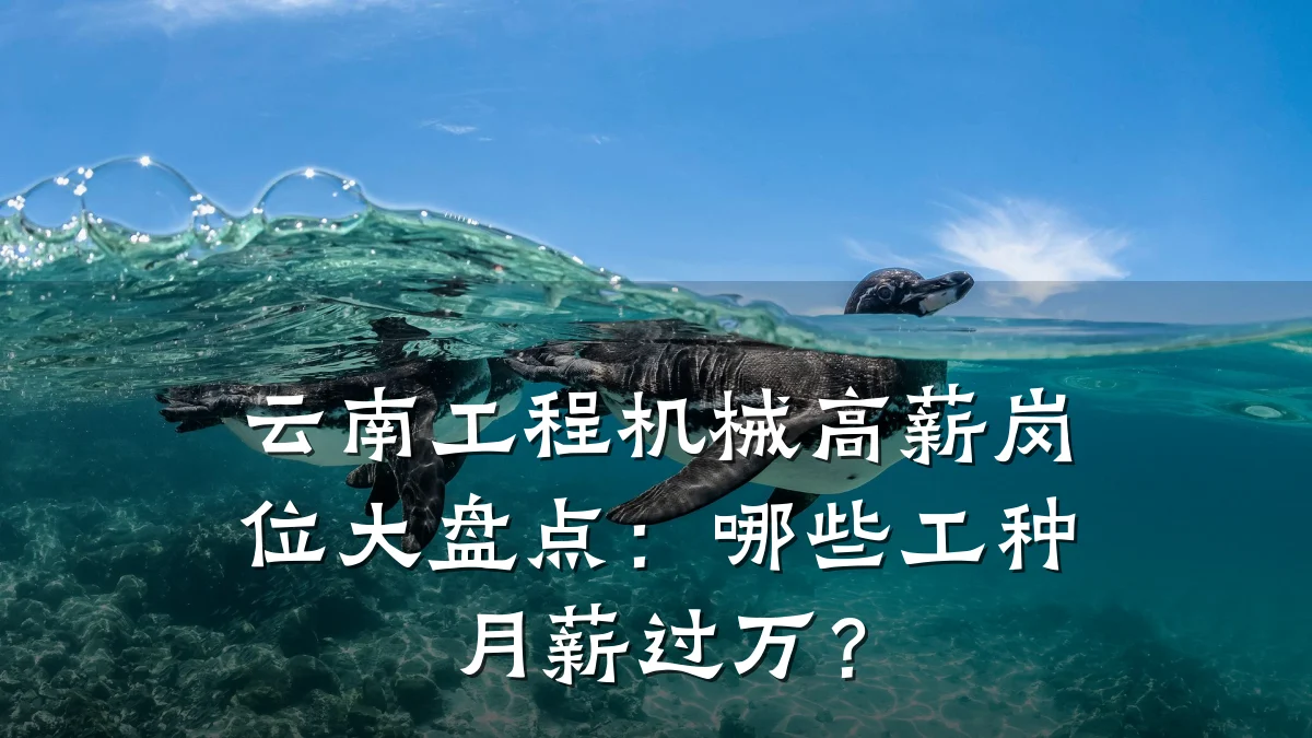 云南工程机械高薪岗位大盘点:哪些工种月薪过万?