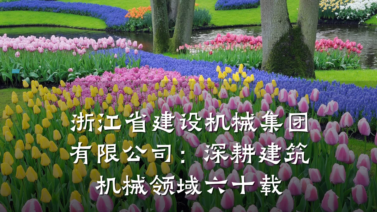 浙江省建设机械集团有限公司:深耕建筑机械领域六十载