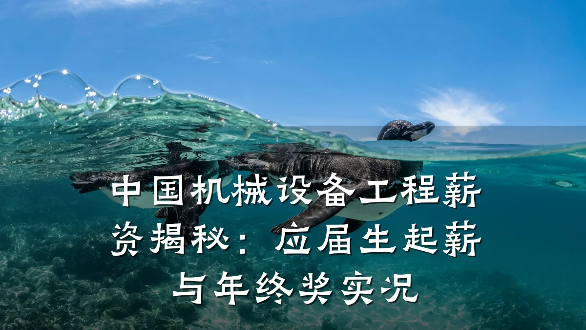 中国机械设备工程薪资揭秘:应届生起薪与年终奖实况
