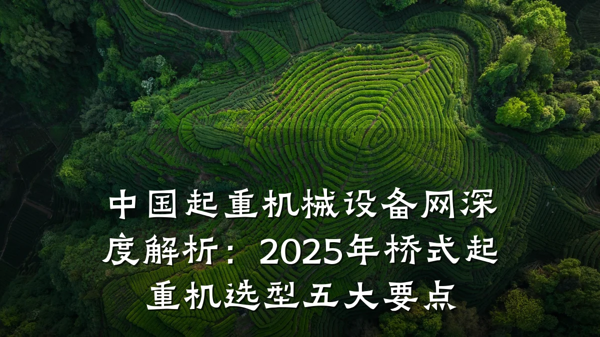 中国起重机械设备网深度解析:2025年桥式起重机选型五大要点