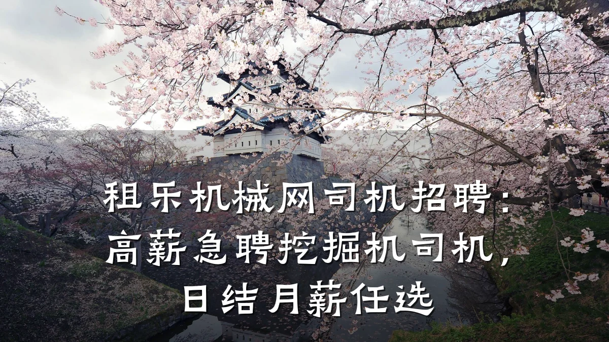租乐机械网司机招聘:高薪急聘挖掘机司机,日结月薪任选