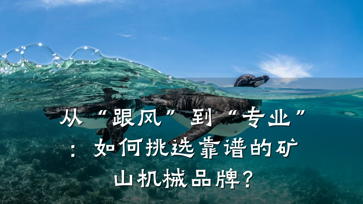 从“跟风”到“专业”:如何挑选靠谱的矿山机械品牌?