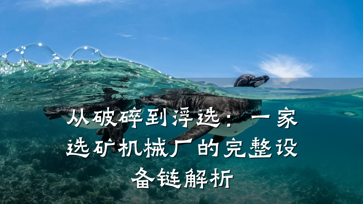 从破碎到浮选：一家选矿机械厂的完整设备链解析