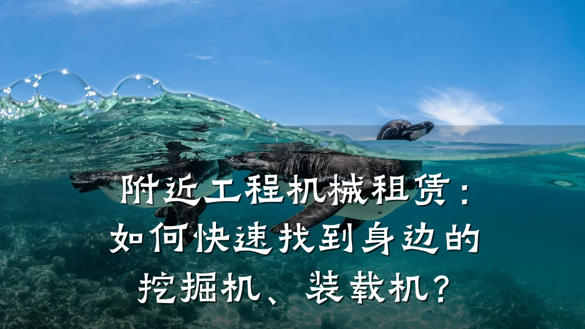 附近工程机械租赁：如何快速找到身边的挖掘机、装载机？