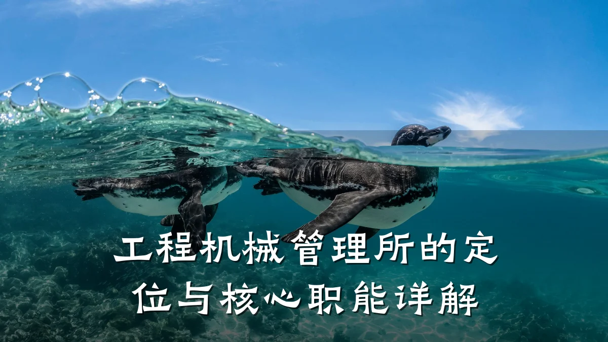 工程机械管理所的定位与核心职能详解