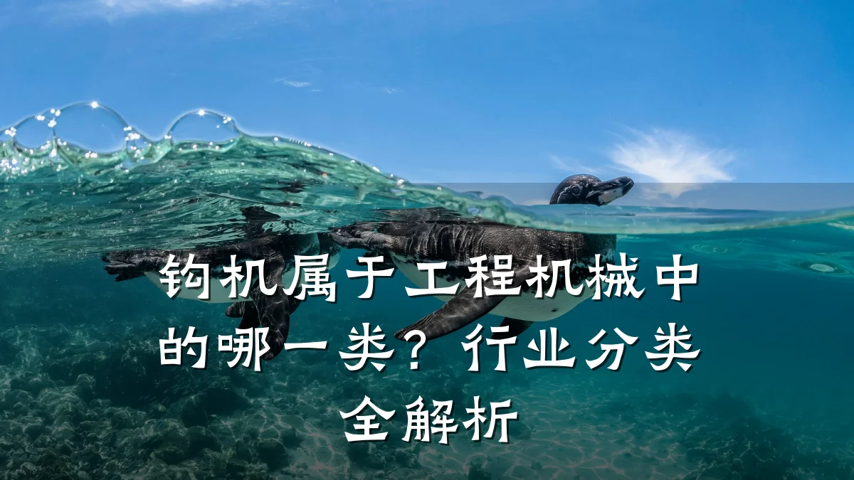 钩机属于工程机械中的哪一类?行业分类全解析