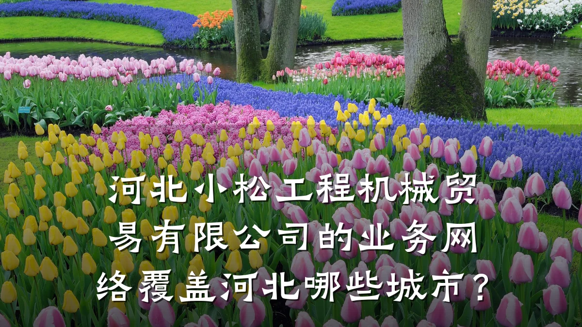 河北小松工程机械贸易有限公司的业务网络覆盖河北哪些城市？