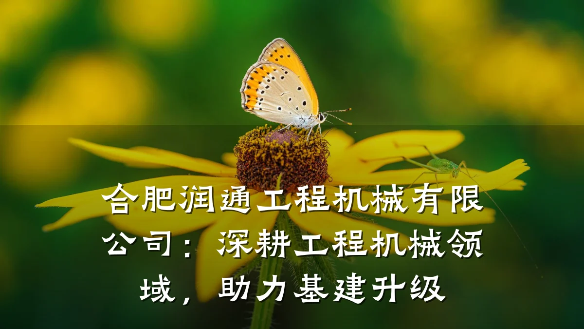 合肥润通工程机械有限公司:深耕工程机械领域,助力基建升级