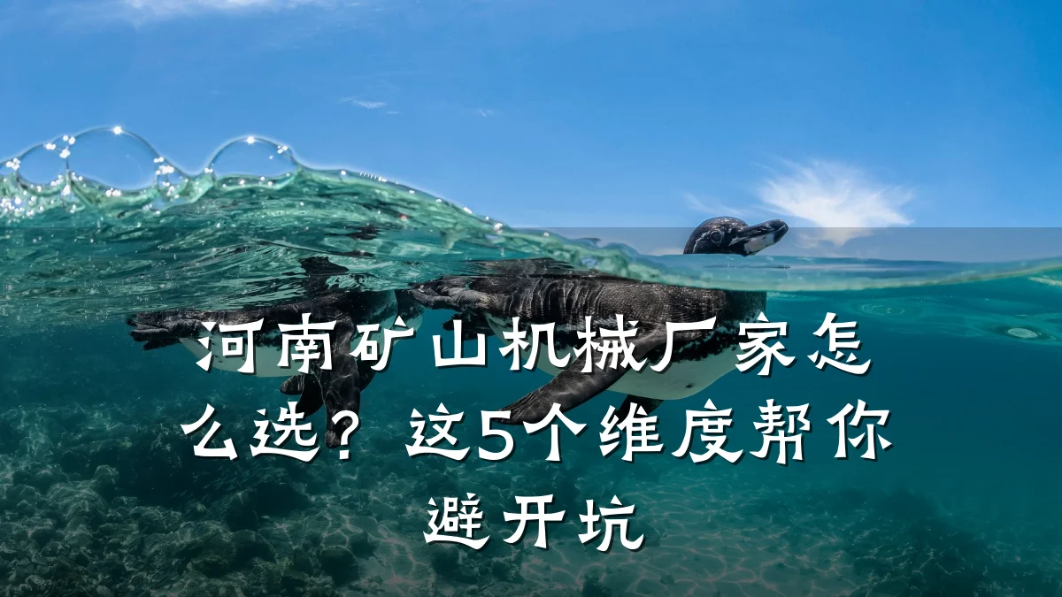 河南矿山机械厂家怎么选?这5个维度帮你避开坑