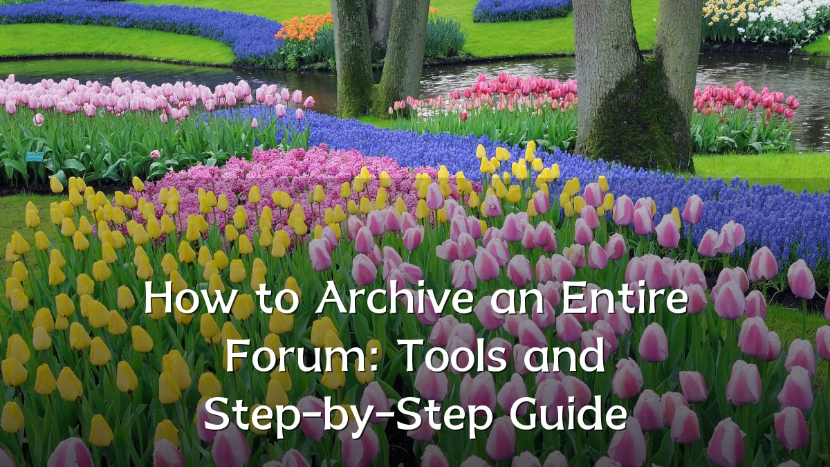 How to Archive an Entire Forum: Tools and Step-by-Step Guide