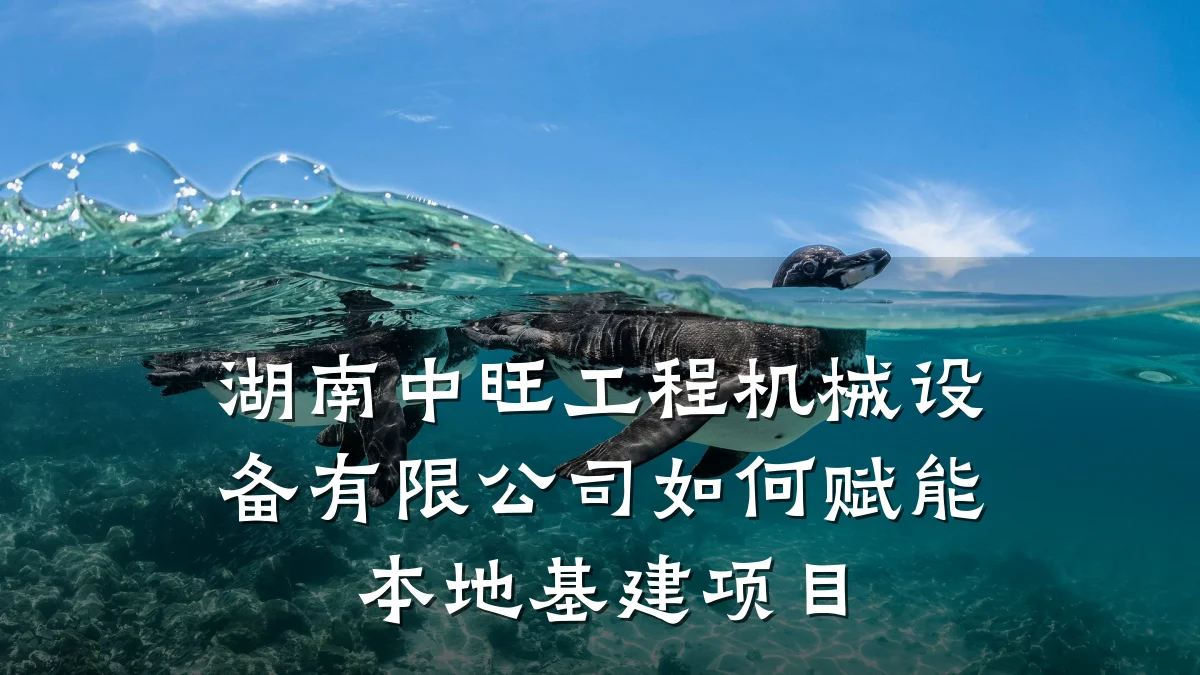 湖南中旺工程机械设备有限公司如何赋能本地基建项目