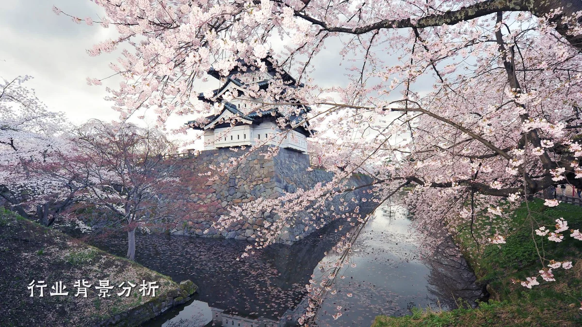 行业背景分析