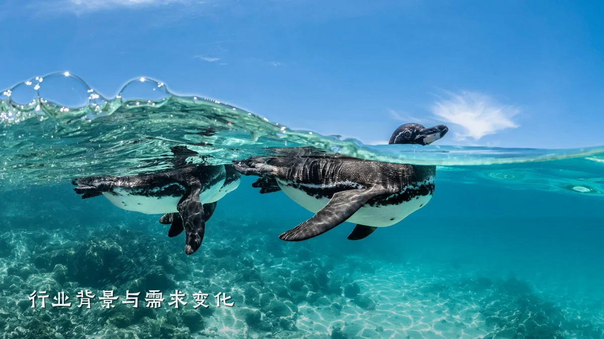 行业背景与需求变化