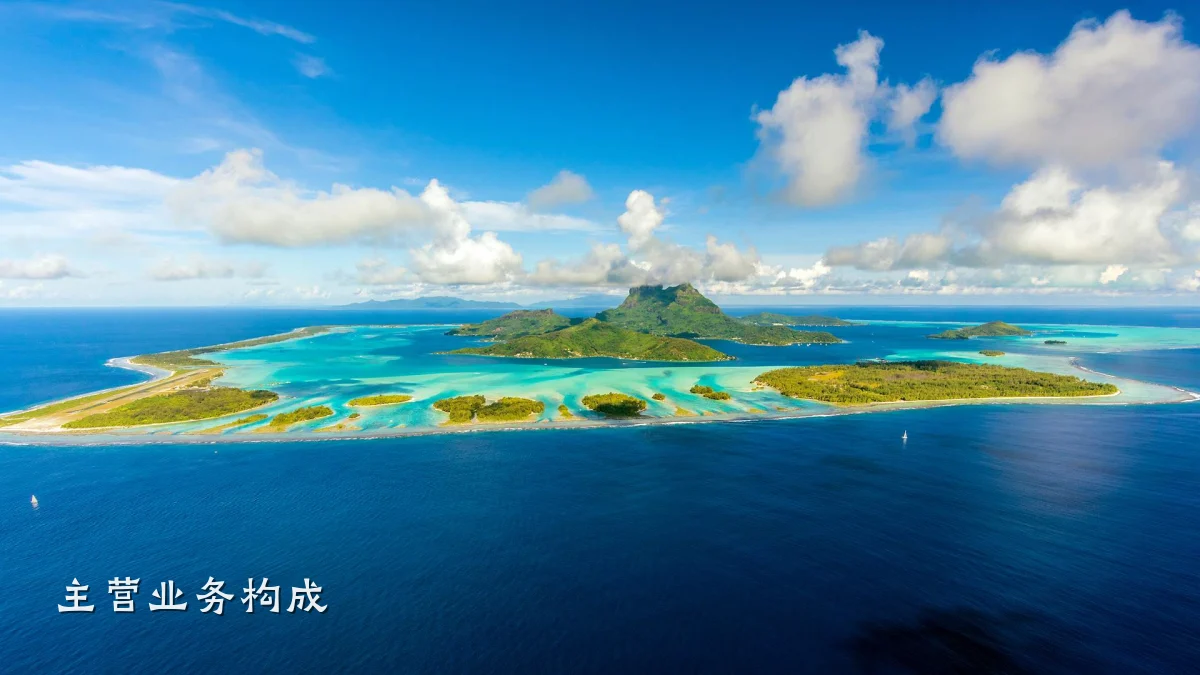 主营业务构成