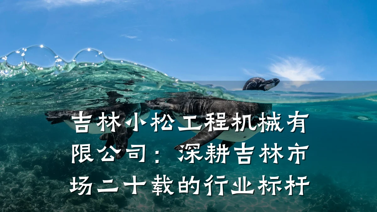 吉林小松工程机械有限公司:深耕吉林市场二十载的行业标杆
