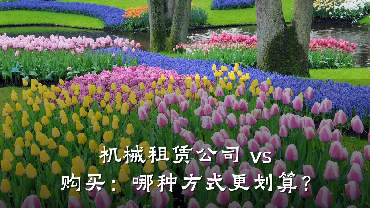 机械租赁公司 vs 购买：哪种方式更划算？