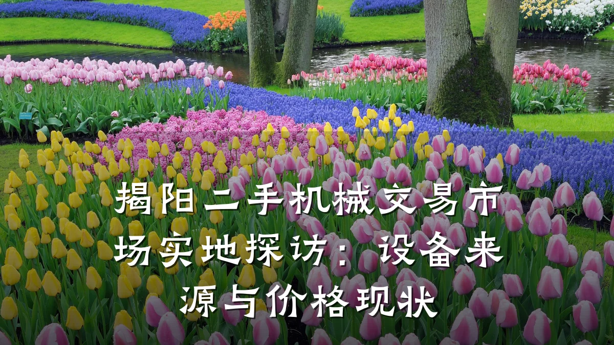 揭阳二手机械交易市场实地探访：设备来源与价格现状