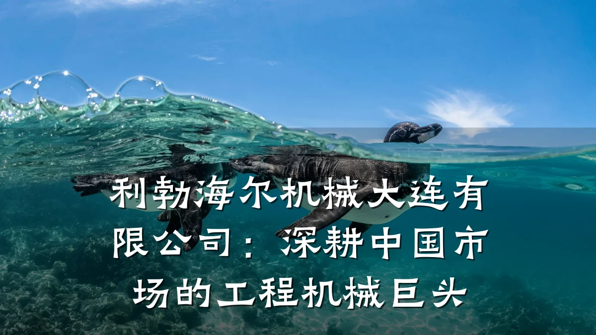 利勃海尔机械大连有限公司:深耕中国市场的工程机械巨头