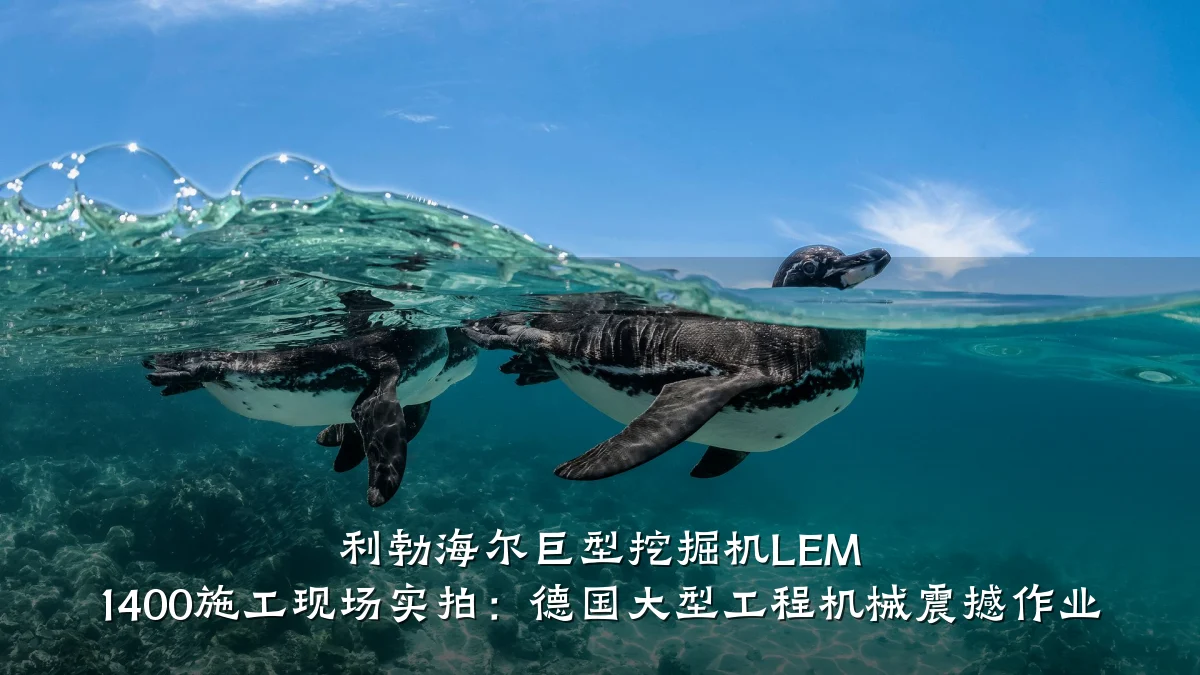 利勃海尔巨型挖掘机LEM 1400施工现场实拍:德国大型工程机械震撼作业