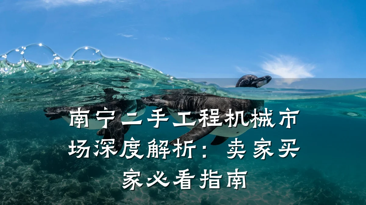 南宁二手工程机械市场深度解析:卖家买家必看指南