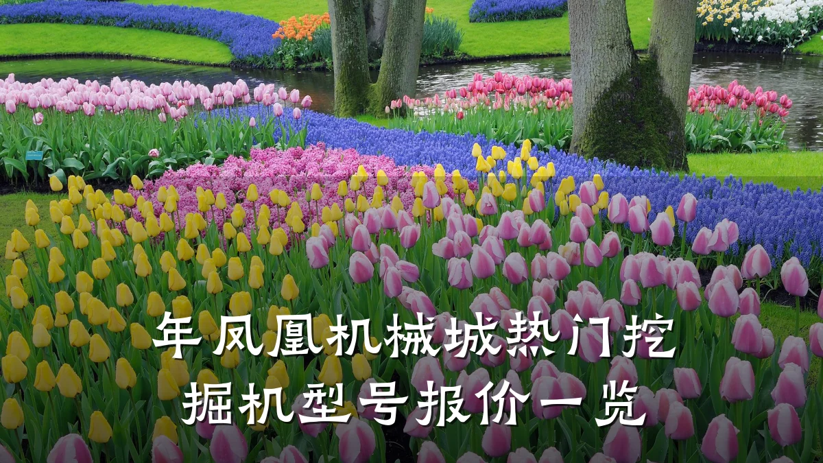 年凤凰机械城热门挖掘机型号报价一览