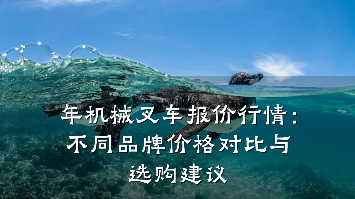 年机械叉车报价行情：不同品牌价格对比与选购建议