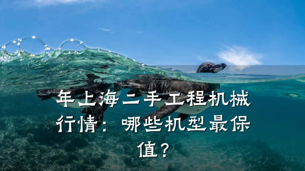年上海二手工程机械行情:哪些机型最保值?
