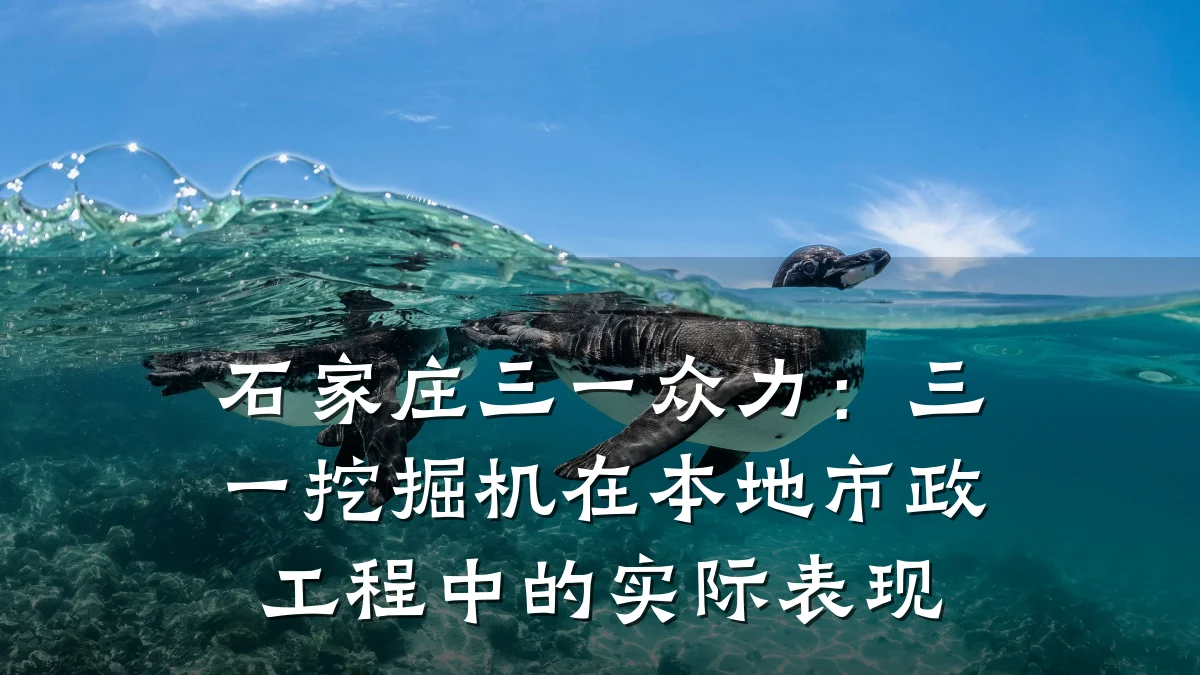 石家庄三一众力:三一挖掘机在本地市政工程中的实际表现