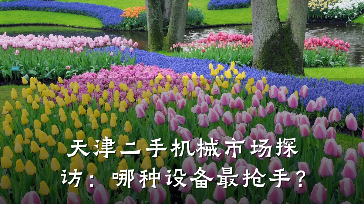 天津二手机械市场探访:哪种设备最抢手?