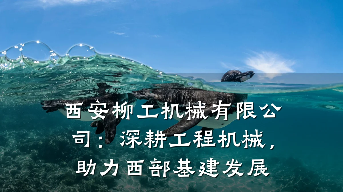 西安柳工机械有限公司:深耕工程机械,助力西部基建发展