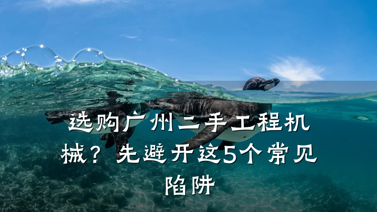 选购广州二手工程机械？先避开这5个常见陷阱