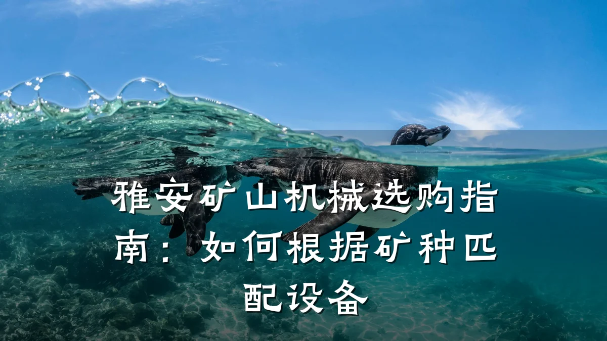 雅安矿山机械选购指南：如何根据矿种匹配设备