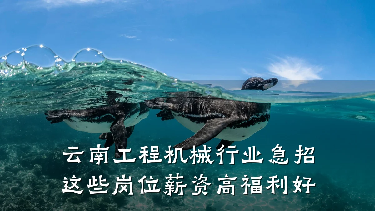 云南工程机械行业急招 这些岗位薪资高福利好