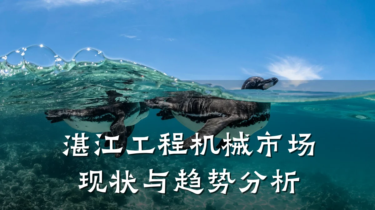 湛江工程机械市场现状与趋势分析