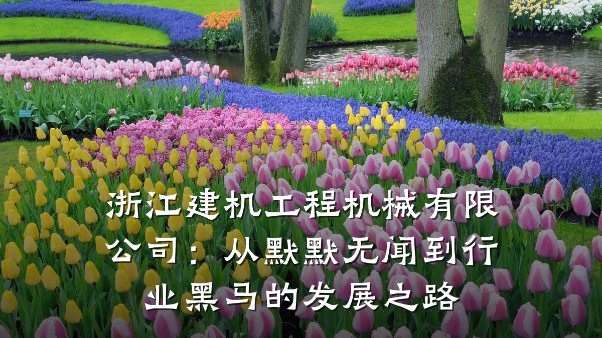 浙江建机工程机械有限公司:从默默无闻到行业黑马的发展之路