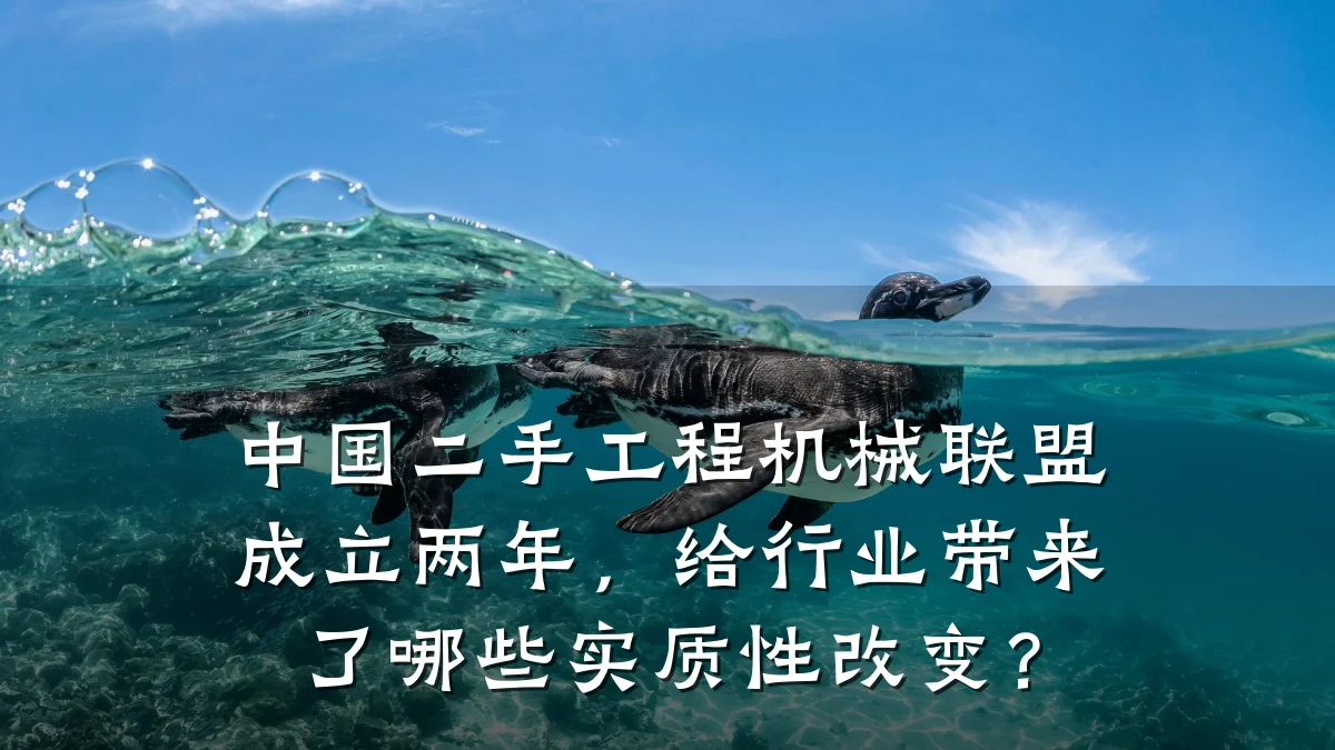 中国二手工程机械联盟成立两年,给行业带来了哪些实质性改变?