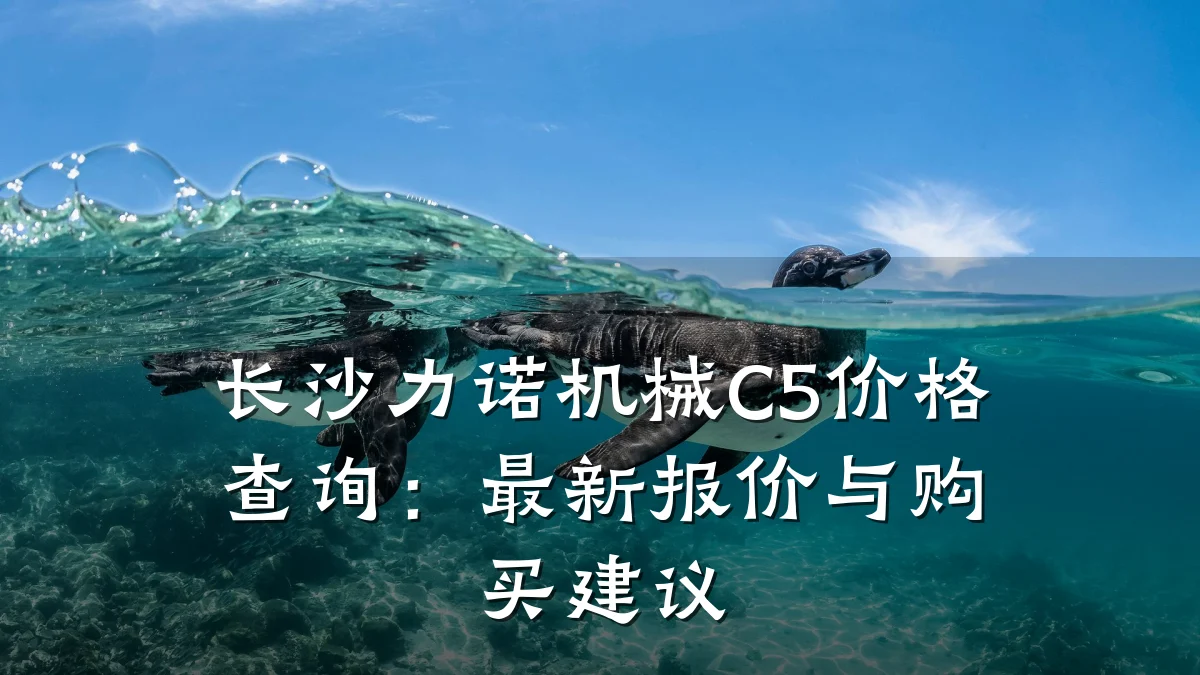 长沙力诺机械C5价格查询：最新报价与购买建议