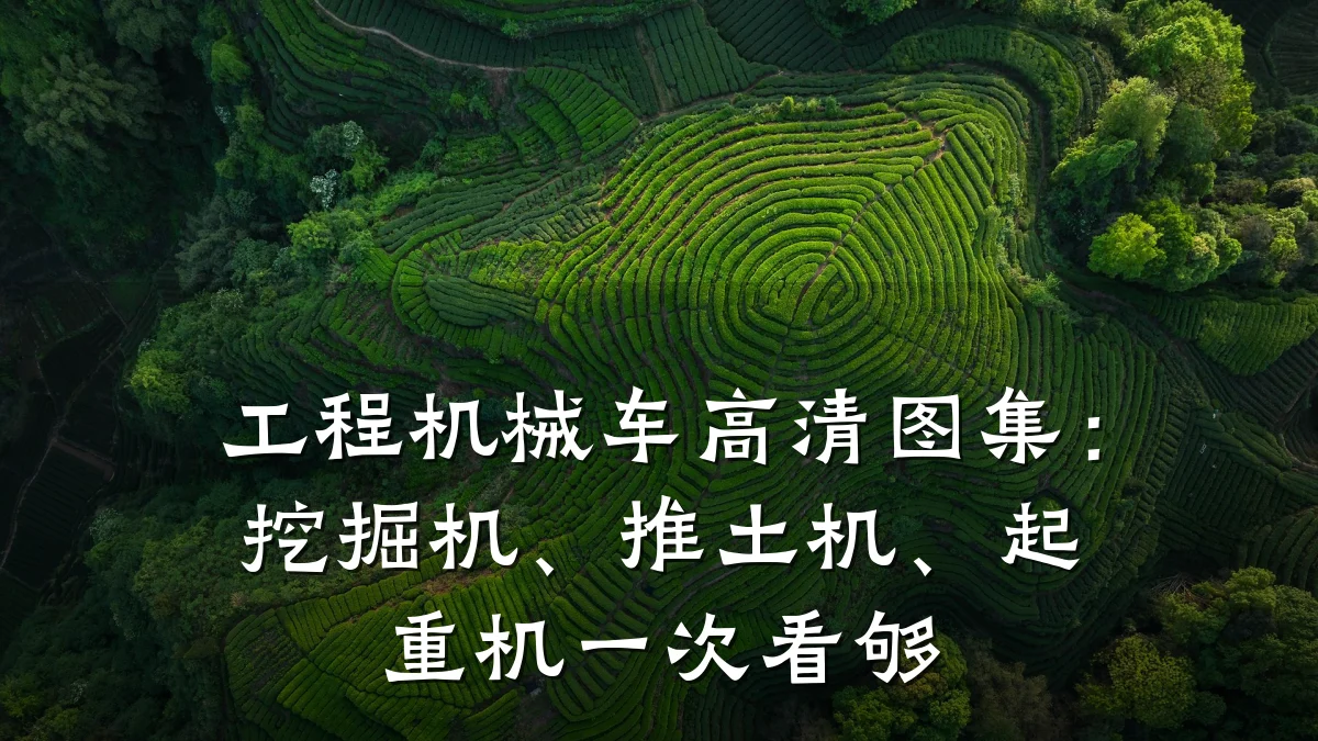 工程机械车高清图集：挖掘机、推土机、起重机一次看够