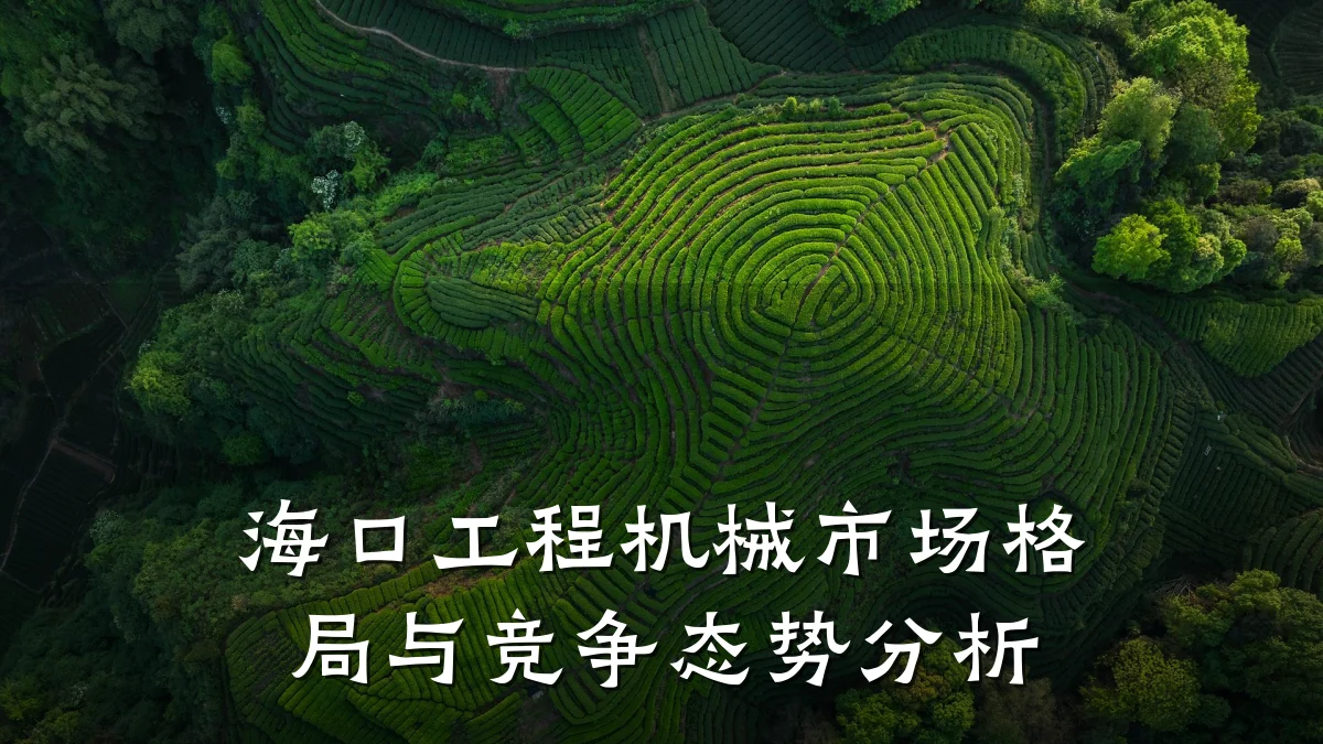 海口工程机械市场格局与竞争态势分析