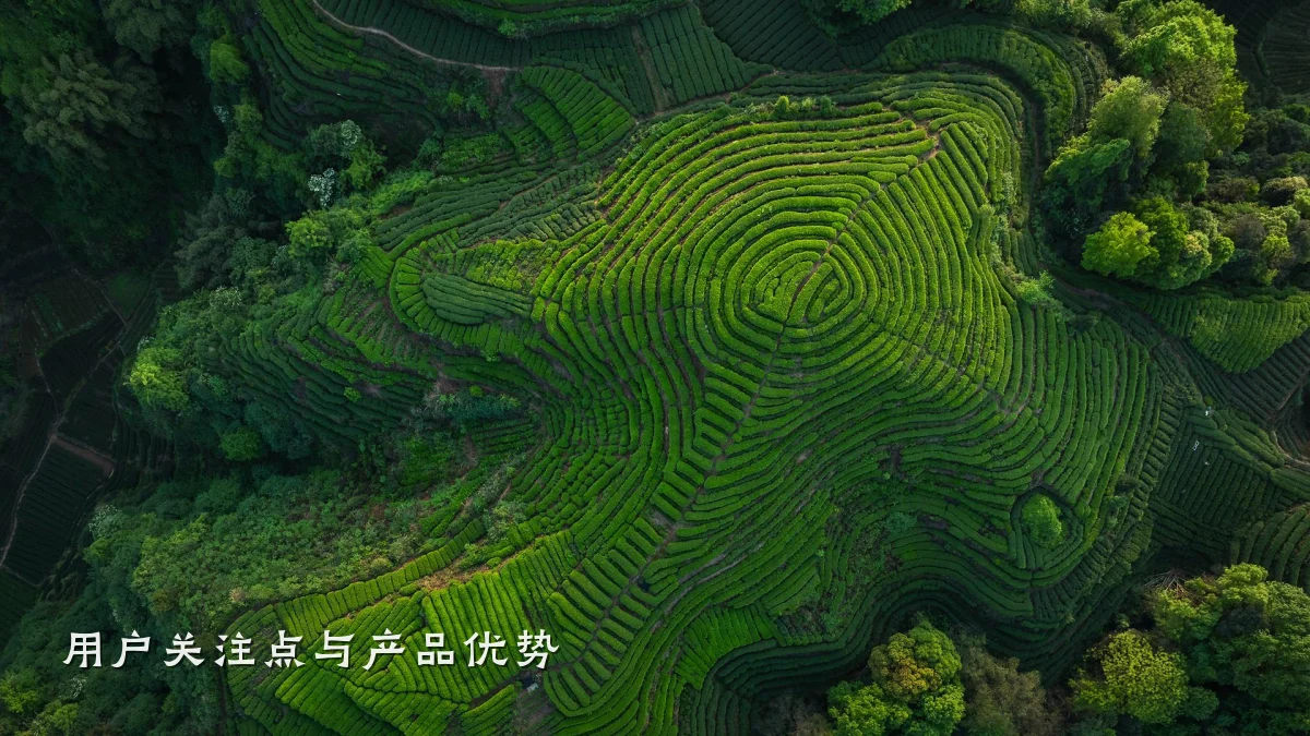 用户关注点与产品优势