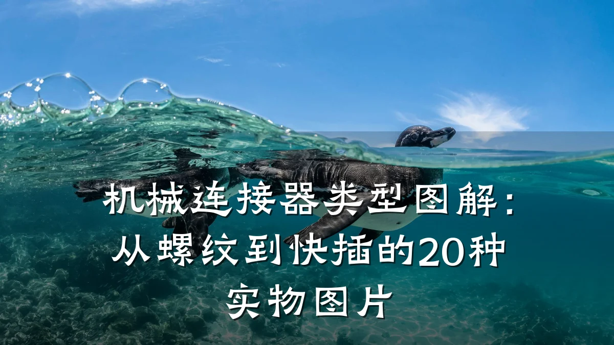 机械连接器类型图解：从螺纹到快插的20种实物图片
