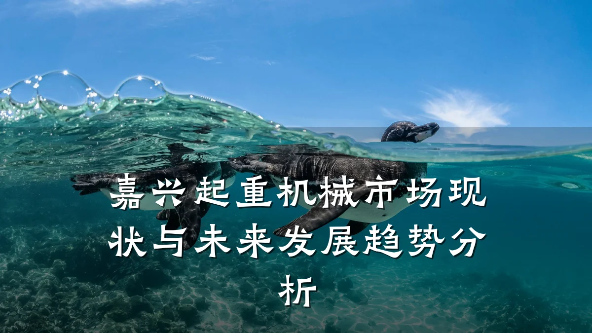 嘉兴起重机械市场现状与未来发展趋势分析