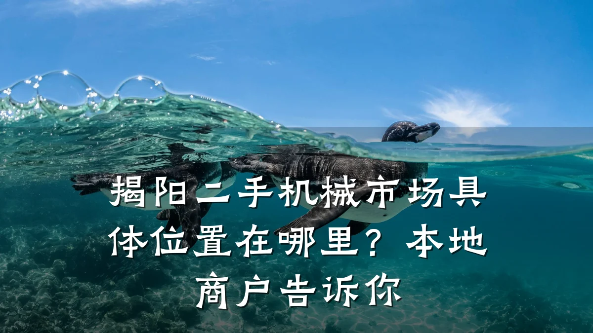 揭阳二手机械市场具体位置在哪里?本地商户告诉你