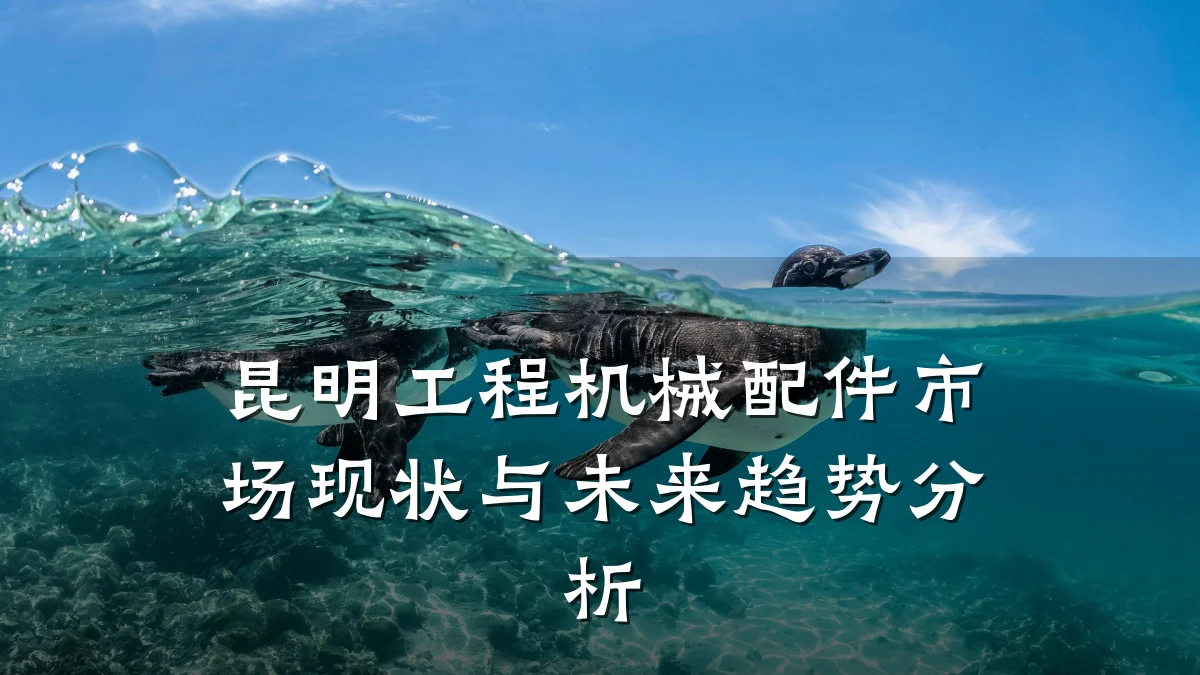 昆明工程机械配件市场现状与未来趋势分析