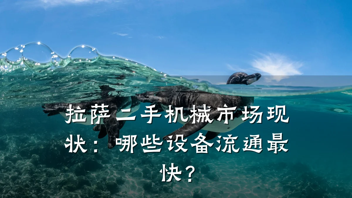 拉萨二手机械市场现状：哪些设备流通最快？