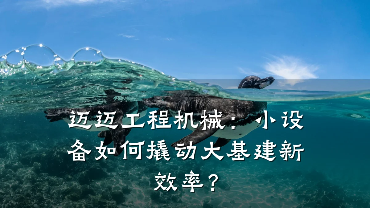 迈迈工程机械:小设备如何撬动大基建新效率?